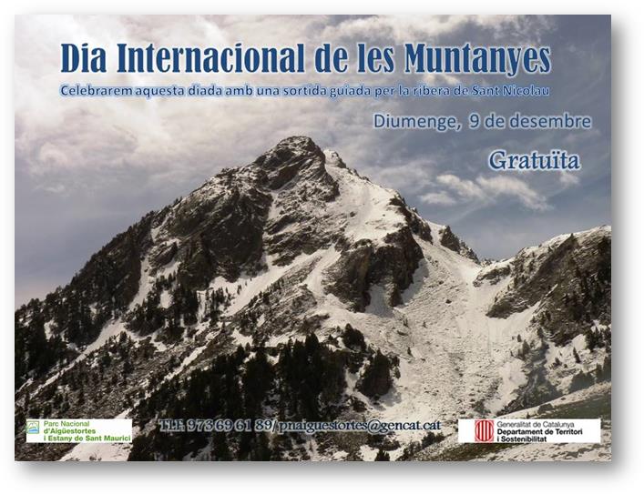 dia internacional de les muntanyes