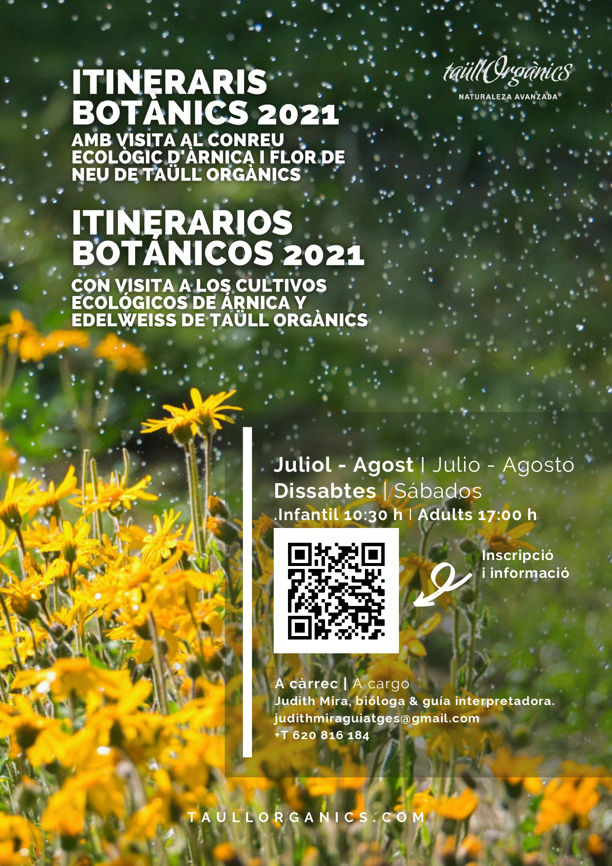 Itineraris botànics al camp d'arnica Taüll Organics