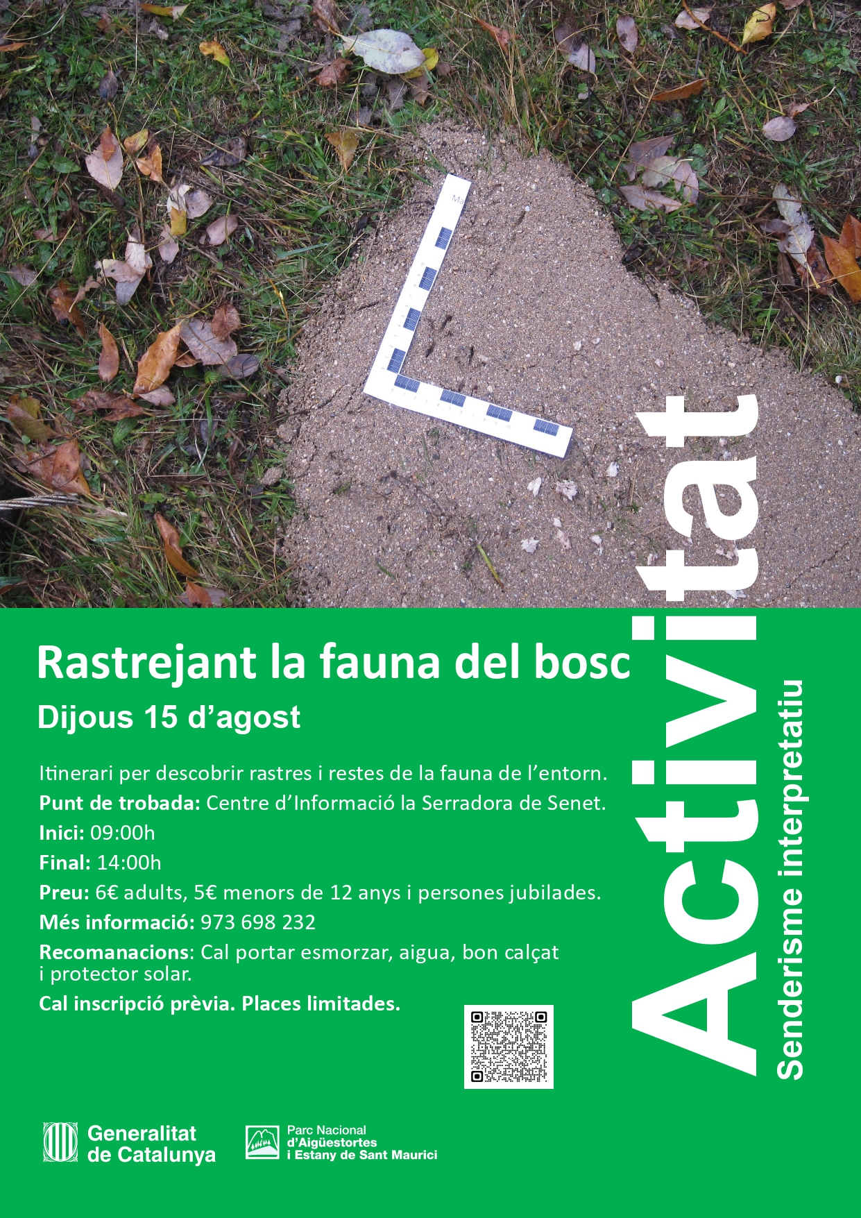 Rastrejant la fauna del bosc