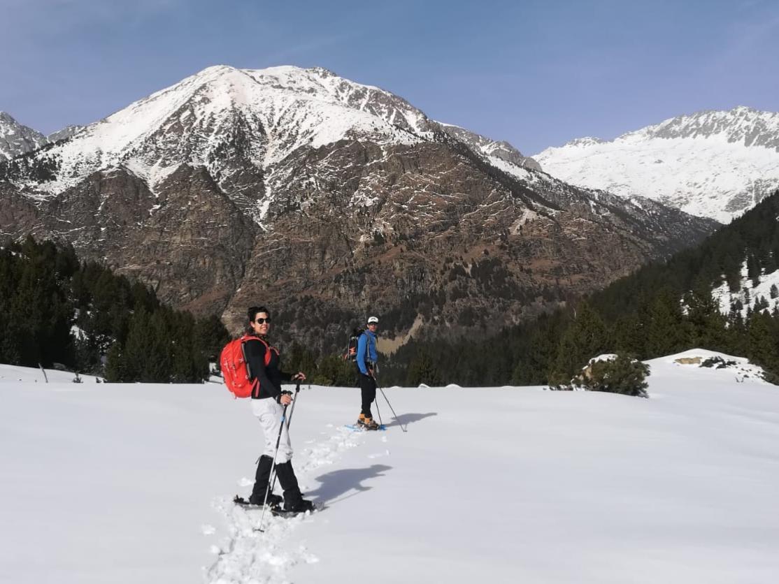 Raquetes de neu