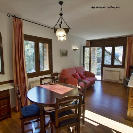 Apartment for 4 persons Pyrenees Boi Valley