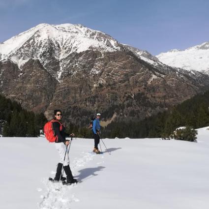 Raquetes de neu