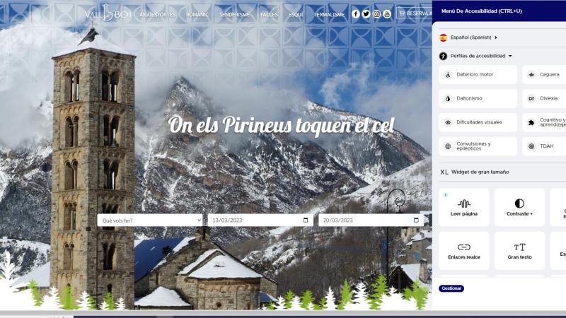 widget accessibilitat web vallboi