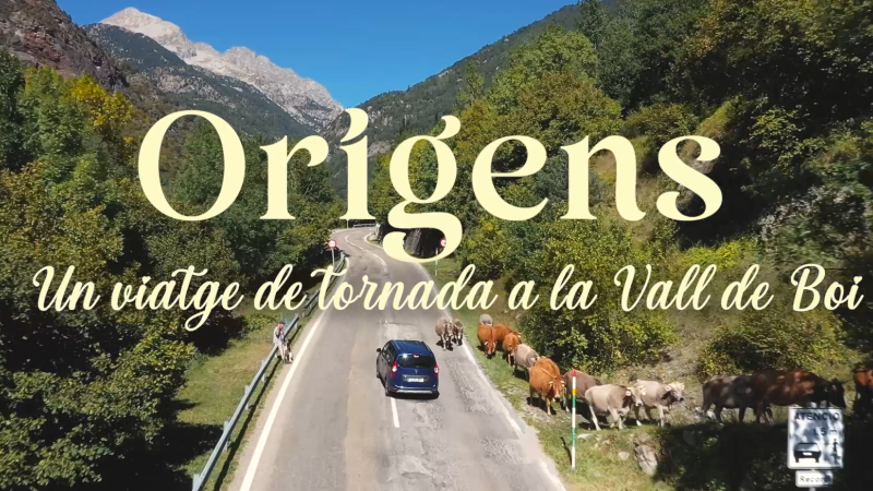 Orígens